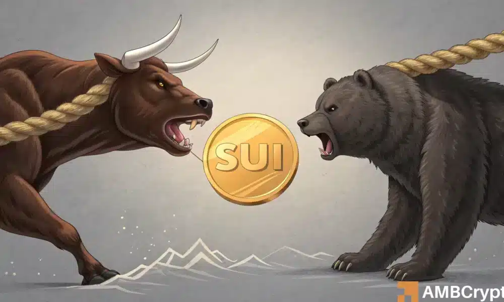 每周一次举行63％的激烈的集会之后，Sui Bulls或Bears会控制吗？